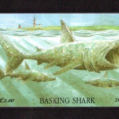 1995 Isle of Man UK2/ 21 units Basking Shark (Siemens - S30 (Module 34)) Phone Card New in Packaging