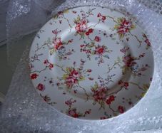 dinner plates
