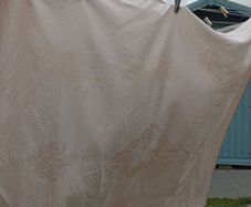 Vintage Table Cloth