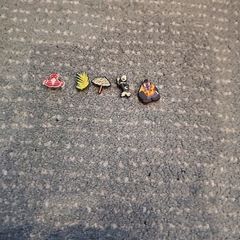 croc charms