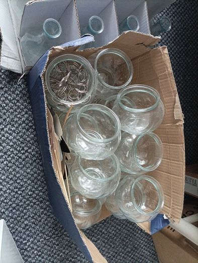 vases