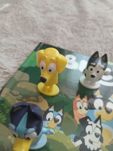 Bluey book and figures