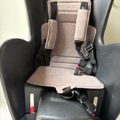 bike seat for kids or toddler