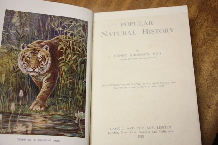 Popular Natural History.