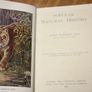 Popular Natural History. Image 2