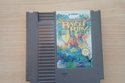 Bayou Billy Nes