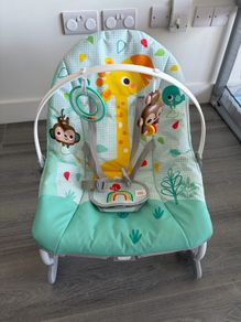 baby bouncer