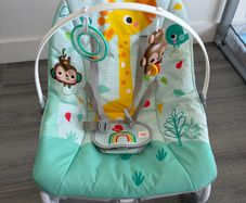 baby bouncer