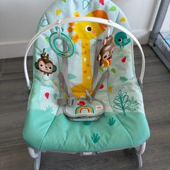 baby bouncer