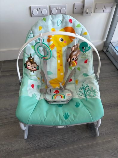 baby bouncer