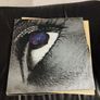Horslips bundle 3 x lp Image 2