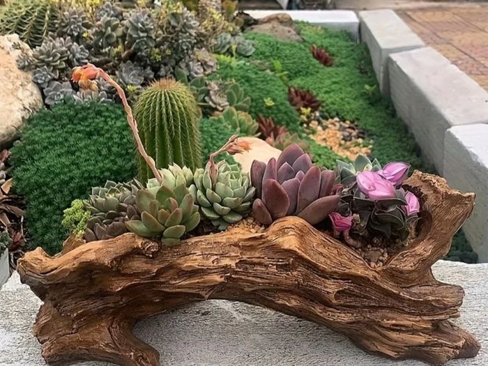 Stump Flower Succulent Plant Pot, Unique Indoor Outdoor Desktop Office Plant Pot, with Drainage Holes