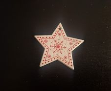 Christmas star