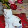 Royal Tara Cat Image 8