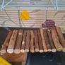 Hamster Cage Image 3