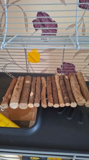 Hamster Cage