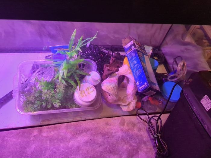 Complete 200L Aquarium Pro-Bundle