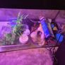 Complete 200L Aquarium Pro-Bundle Image 2
