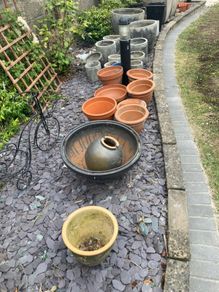Garden Pots