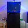 Fish tank Image 2
