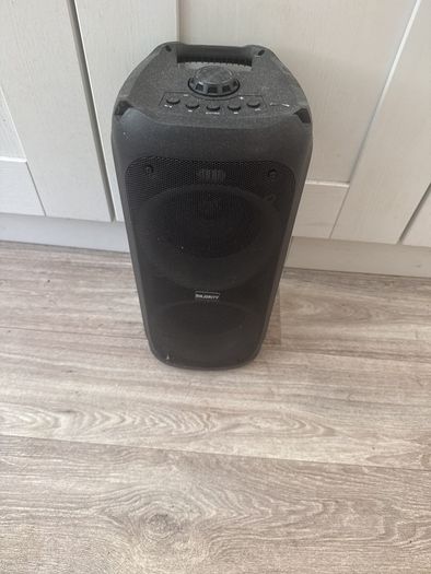 party speaker