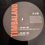 Timbaland - The Way I are featuring Keri Hilson Image 6