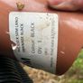 Garden drainage pipe Image 2