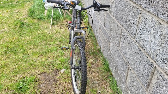Apollo Creed Junior Bike