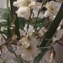 large Vase with flowers Image 3