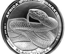 2022 Congo Deadly Snake Black Mamba 1 Oz Silver Coin BU ( In Capsule)