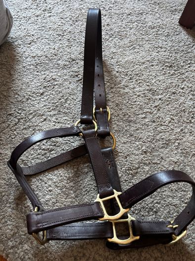 Job-lot: Horse Care