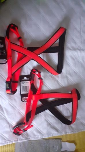 Dog Leads Harnesses Etc. BNWT Nobby