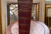 Latin Bible