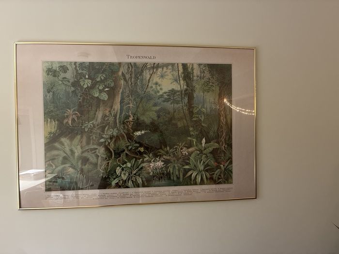 Tropical Picture Frame 130cm in diameter