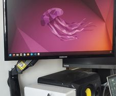 22" Samsung Monitor & Monitor Arm