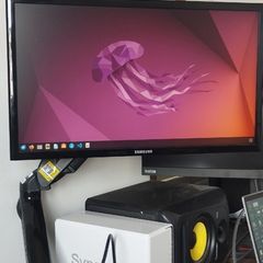 22" Samsung Monitor & Monitor Arm