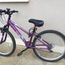 apollo jewel ladies mountain  bike.size 14 Image 4