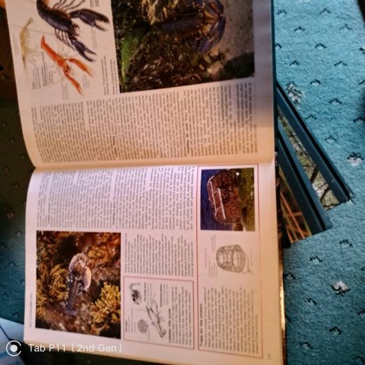 13 Vol.The Living Countryside, Readers Digest,HB.