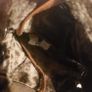 NEW Ugg Australia handbag Image 4
