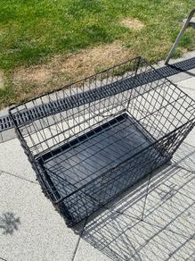 dog cage