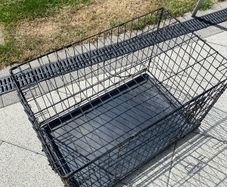 dog cage