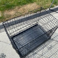 dog cage