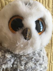 Owlette Beanie Boo TY Teddy BNWT