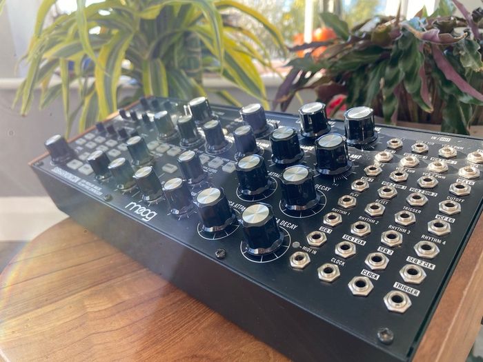 Moog Subharmonicon