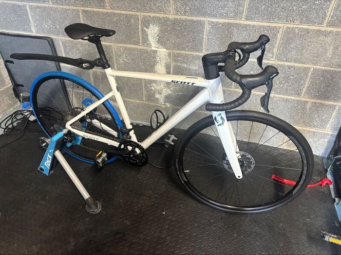 Adult Bike