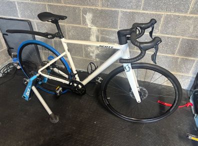 Adult Bike