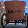 New Babboe Flow Mountain E-Cargo  500Wh Image 2