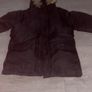 canada goose Image 5
