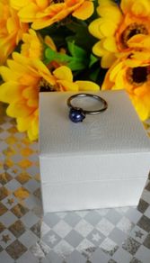 brand new pandora pearl  ring