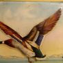 Mid Century MacFarlane Lang & Co Tin Image 6